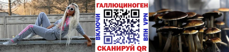 Купить закладки  Ковдор  Псилоцибиновые грибы мухоморы 